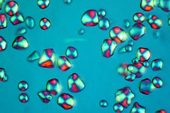 Corn starch in polarized light